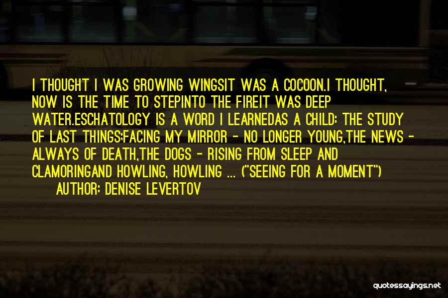 Denise Levertov Quotes: I Thought I Was Growing Wingsit Was A Cocoon.i Thought, Now Is The Time To Stepinto The Fireit Was Deep