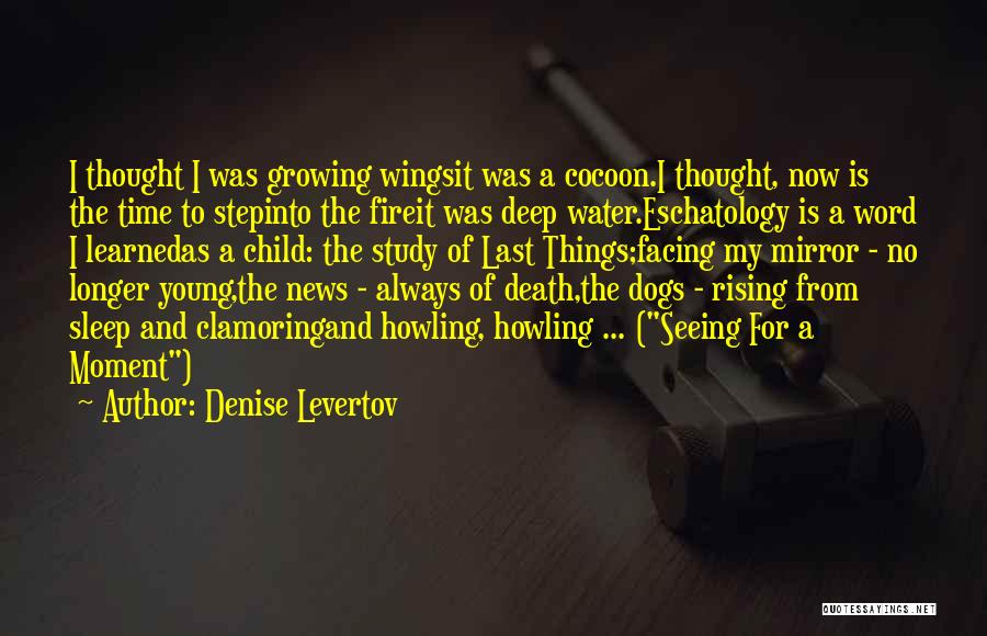 Denise Levertov Quotes: I Thought I Was Growing Wingsit Was A Cocoon.i Thought, Now Is The Time To Stepinto The Fireit Was Deep