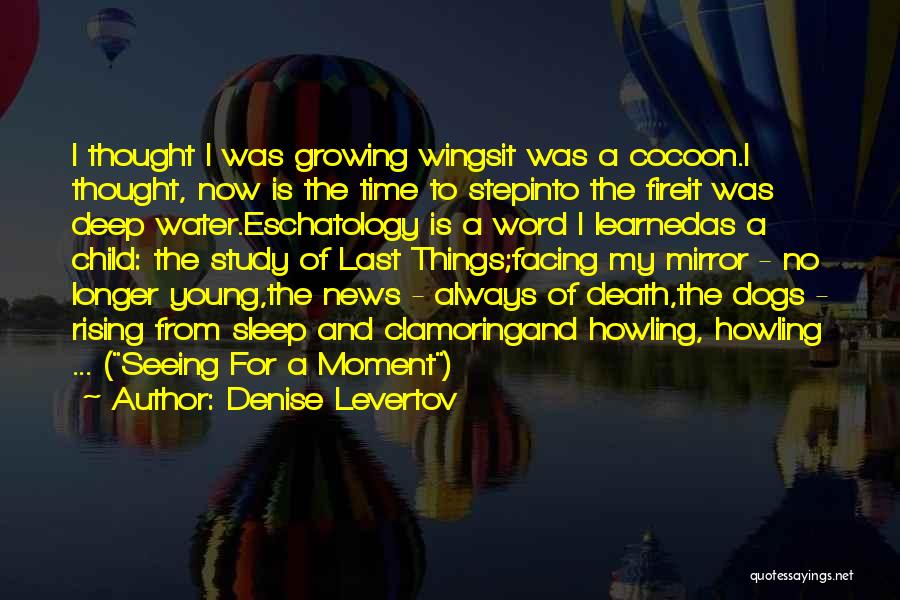 Denise Levertov Quotes: I Thought I Was Growing Wingsit Was A Cocoon.i Thought, Now Is The Time To Stepinto The Fireit Was Deep