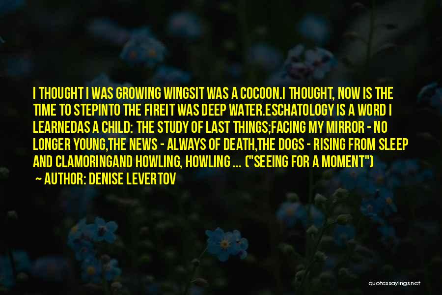 Denise Levertov Quotes: I Thought I Was Growing Wingsit Was A Cocoon.i Thought, Now Is The Time To Stepinto The Fireit Was Deep
