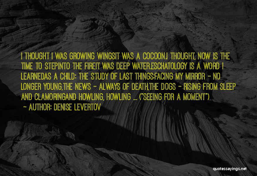 Denise Levertov Quotes: I Thought I Was Growing Wingsit Was A Cocoon.i Thought, Now Is The Time To Stepinto The Fireit Was Deep