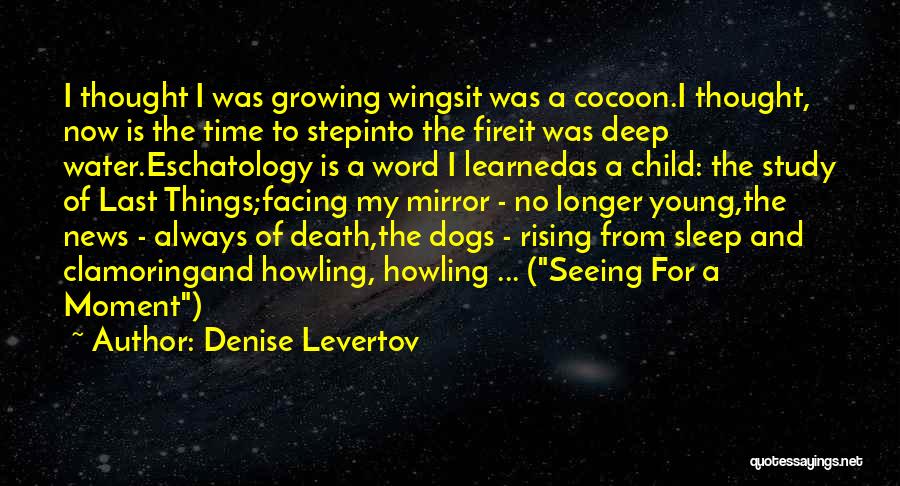 Denise Levertov Quotes: I Thought I Was Growing Wingsit Was A Cocoon.i Thought, Now Is The Time To Stepinto The Fireit Was Deep