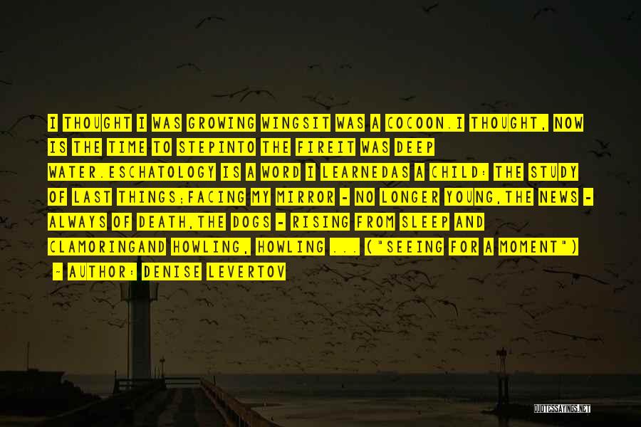 Denise Levertov Quotes: I Thought I Was Growing Wingsit Was A Cocoon.i Thought, Now Is The Time To Stepinto The Fireit Was Deep