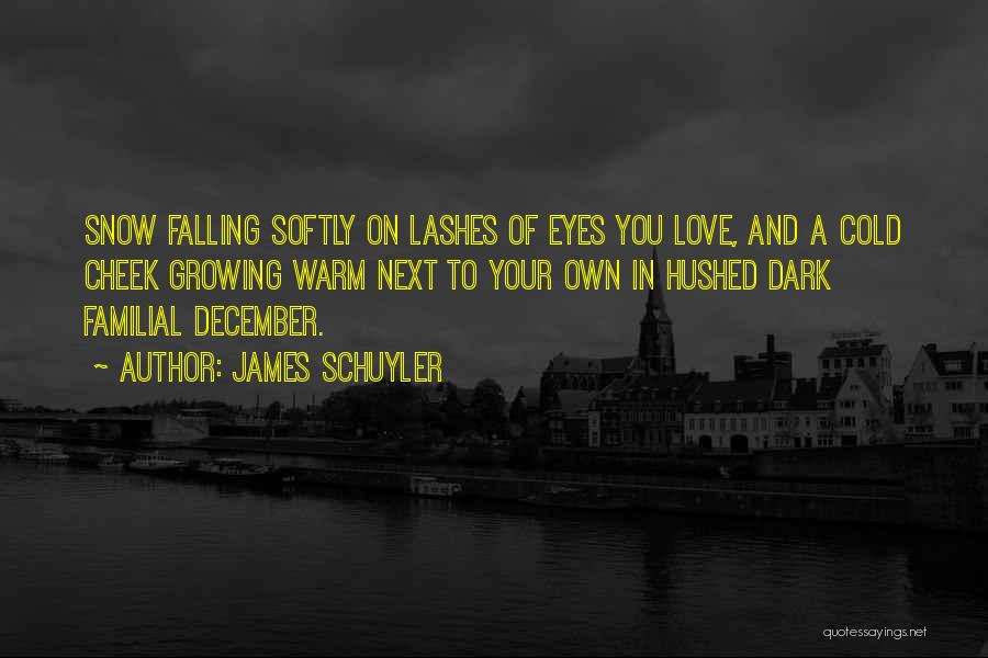 James Schuyler Quotes: Snow Falling Softly On Lashes Of Eyes You Love, And A Cold Cheek Growing Warm Next To Your Own In