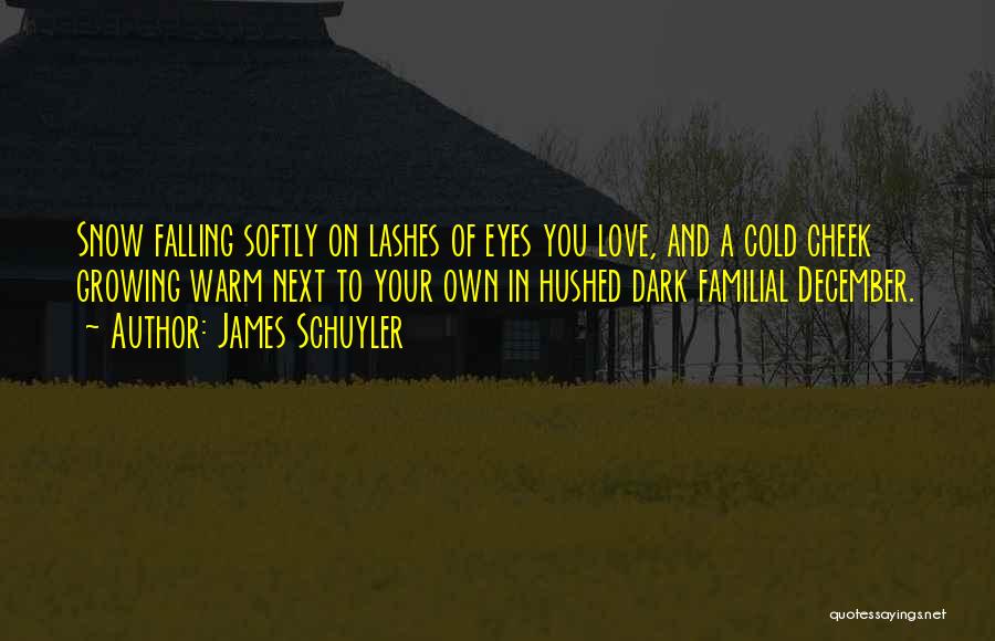 James Schuyler Quotes: Snow Falling Softly On Lashes Of Eyes You Love, And A Cold Cheek Growing Warm Next To Your Own In