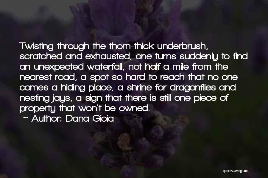 Dana Gioia Quotes: Twisting Through The Thorn-thick Underbrush, Scratched And Exhausted, One Turns Suddenly To Find An Unexpected Waterfall, Not Half A Mile