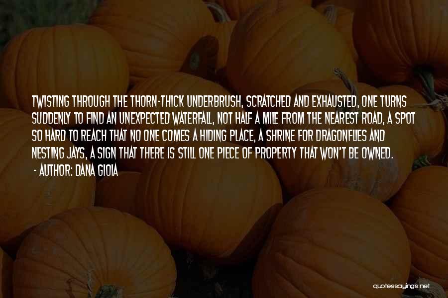 Dana Gioia Quotes: Twisting Through The Thorn-thick Underbrush, Scratched And Exhausted, One Turns Suddenly To Find An Unexpected Waterfall, Not Half A Mile