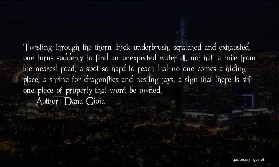 Dana Gioia Quotes: Twisting Through The Thorn-thick Underbrush, Scratched And Exhausted, One Turns Suddenly To Find An Unexpected Waterfall, Not Half A Mile