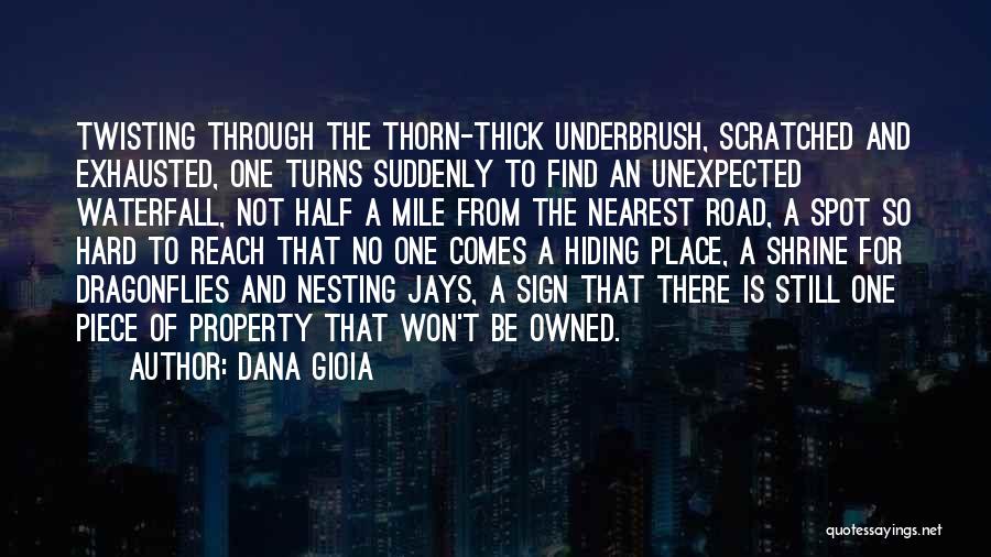Dana Gioia Quotes: Twisting Through The Thorn-thick Underbrush, Scratched And Exhausted, One Turns Suddenly To Find An Unexpected Waterfall, Not Half A Mile