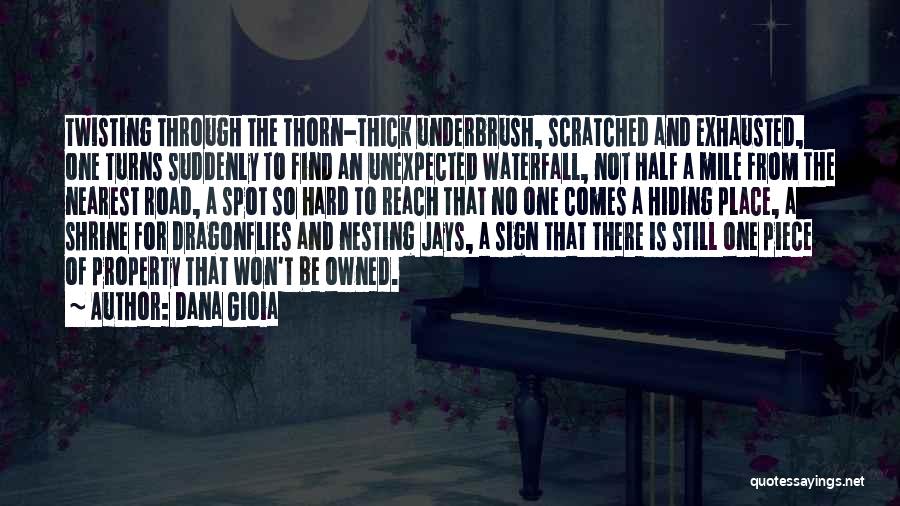 Dana Gioia Quotes: Twisting Through The Thorn-thick Underbrush, Scratched And Exhausted, One Turns Suddenly To Find An Unexpected Waterfall, Not Half A Mile