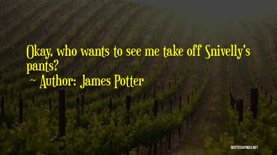 James Potter Quotes: Okay, Who Wants To See Me Take Off Snivelly's Pants?
