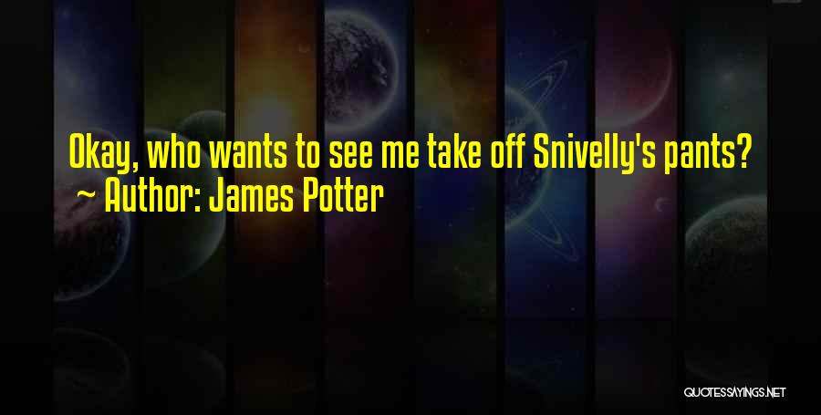 James Potter Quotes: Okay, Who Wants To See Me Take Off Snivelly's Pants?