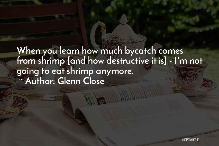 Glenn Close Quotes: When You Learn How Much Bycatch Comes From Shrimp [and How Destructive It Is] - I'm Not Going To Eat