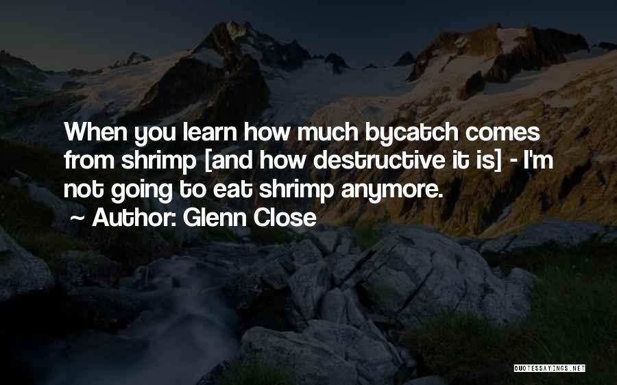 Glenn Close Quotes: When You Learn How Much Bycatch Comes From Shrimp [and How Destructive It Is] - I'm Not Going To Eat