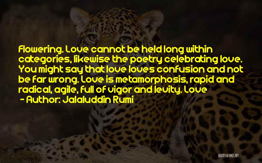 Jalaluddin Rumi Quotes: Flowering. Love Cannot Be Held Long Within Categories, Likewise The Poetry Celebrating Love. You Might Say That Love Loves Confusion