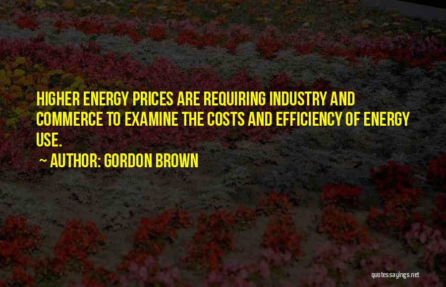 Gordon Brown Quotes: Higher Energy Prices Are Requiring Industry And Commerce To Examine The Costs And Efficiency Of Energy Use.