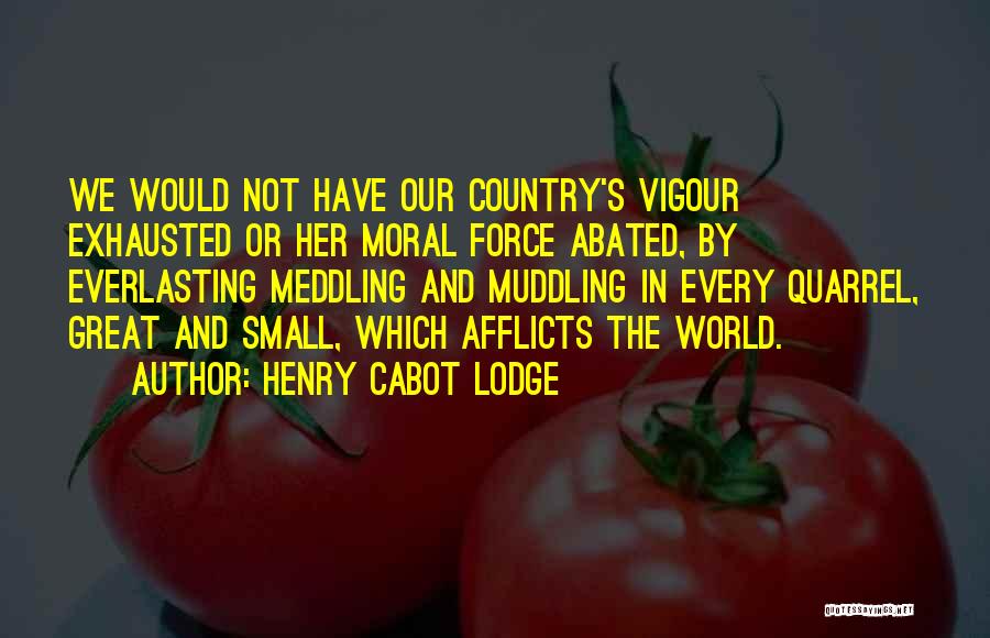 Henry Cabot Lodge Quotes: We Would Not Have Our Country's Vigour Exhausted Or Her Moral Force Abated, By Everlasting Meddling And Muddling In Every