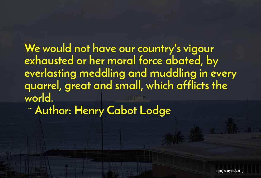 Henry Cabot Lodge Quotes: We Would Not Have Our Country's Vigour Exhausted Or Her Moral Force Abated, By Everlasting Meddling And Muddling In Every