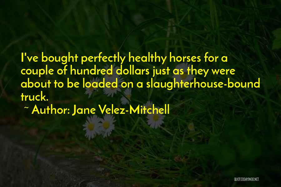 Jane Velez-Mitchell Quotes: I've Bought Perfectly Healthy Horses For A Couple Of Hundred Dollars Just As They Were About To Be Loaded On