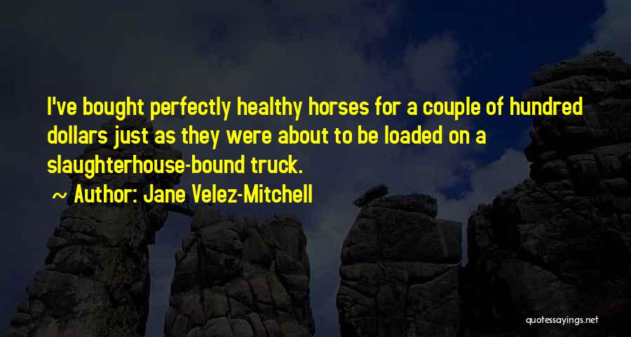 Jane Velez-Mitchell Quotes: I've Bought Perfectly Healthy Horses For A Couple Of Hundred Dollars Just As They Were About To Be Loaded On