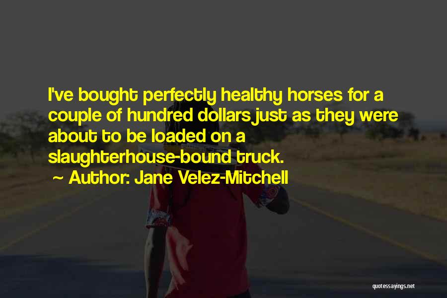 Jane Velez-Mitchell Quotes: I've Bought Perfectly Healthy Horses For A Couple Of Hundred Dollars Just As They Were About To Be Loaded On
