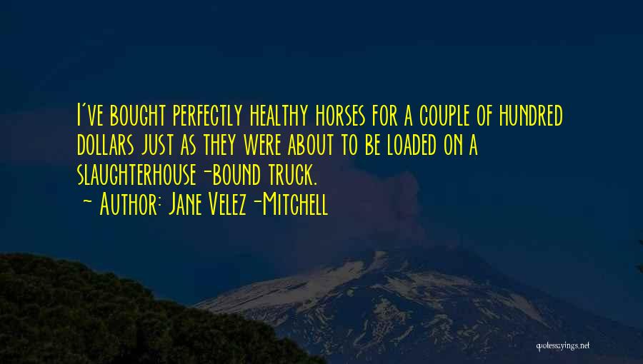 Jane Velez-Mitchell Quotes: I've Bought Perfectly Healthy Horses For A Couple Of Hundred Dollars Just As They Were About To Be Loaded On