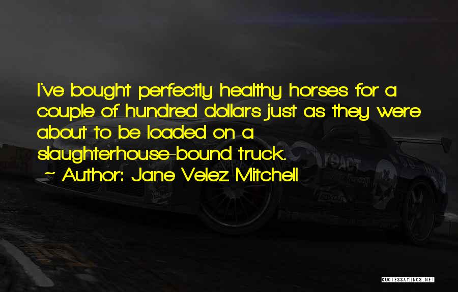 Jane Velez-Mitchell Quotes: I've Bought Perfectly Healthy Horses For A Couple Of Hundred Dollars Just As They Were About To Be Loaded On