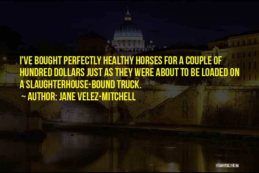 Jane Velez-Mitchell Quotes: I've Bought Perfectly Healthy Horses For A Couple Of Hundred Dollars Just As They Were About To Be Loaded On