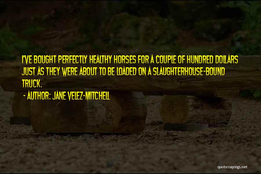 Jane Velez-Mitchell Quotes: I've Bought Perfectly Healthy Horses For A Couple Of Hundred Dollars Just As They Were About To Be Loaded On