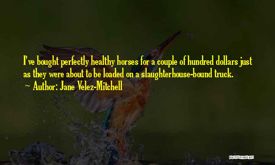 Jane Velez-Mitchell Quotes: I've Bought Perfectly Healthy Horses For A Couple Of Hundred Dollars Just As They Were About To Be Loaded On