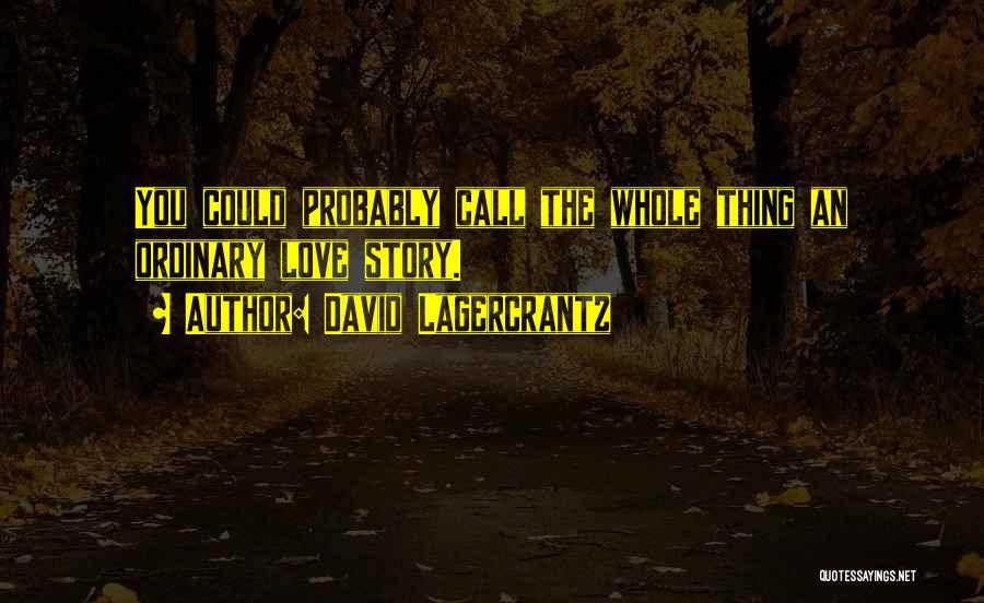 David Lagercrantz Quotes: You Could Probably Call The Whole Thing An Ordinary Love Story.