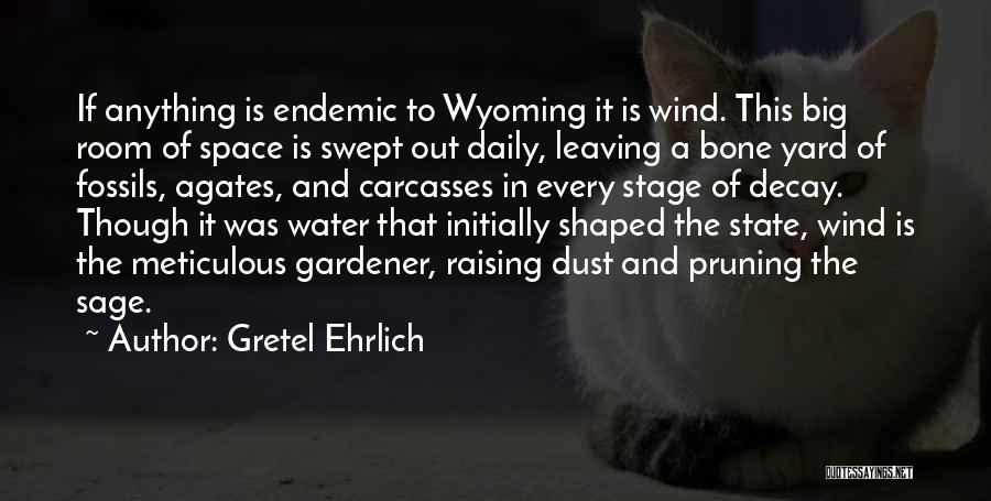 Gretel Ehrlich Quotes: If Anything Is Endemic To Wyoming It Is Wind. This Big Room Of Space Is Swept Out Daily, Leaving A