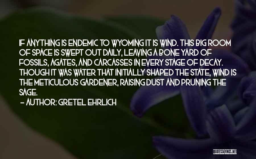 Gretel Ehrlich Quotes: If Anything Is Endemic To Wyoming It Is Wind. This Big Room Of Space Is Swept Out Daily, Leaving A