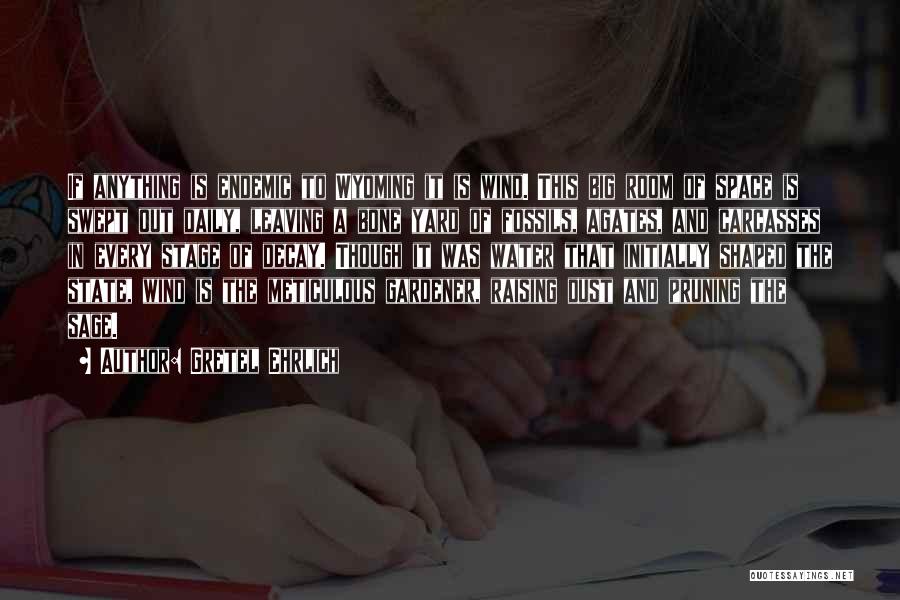 Gretel Ehrlich Quotes: If Anything Is Endemic To Wyoming It Is Wind. This Big Room Of Space Is Swept Out Daily, Leaving A