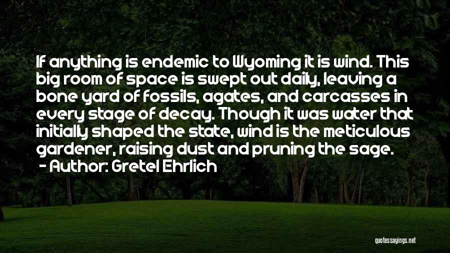 Gretel Ehrlich Quotes: If Anything Is Endemic To Wyoming It Is Wind. This Big Room Of Space Is Swept Out Daily, Leaving A