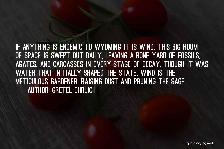 Gretel Ehrlich Quotes: If Anything Is Endemic To Wyoming It Is Wind. This Big Room Of Space Is Swept Out Daily, Leaving A