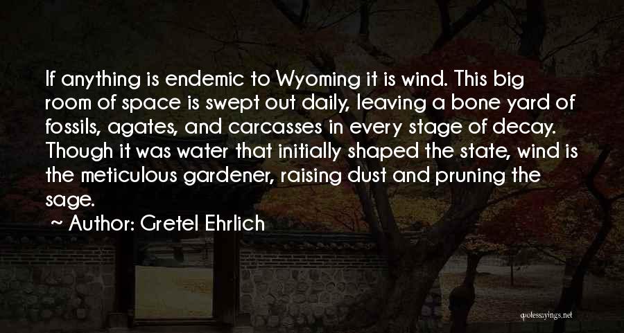 Gretel Ehrlich Quotes: If Anything Is Endemic To Wyoming It Is Wind. This Big Room Of Space Is Swept Out Daily, Leaving A