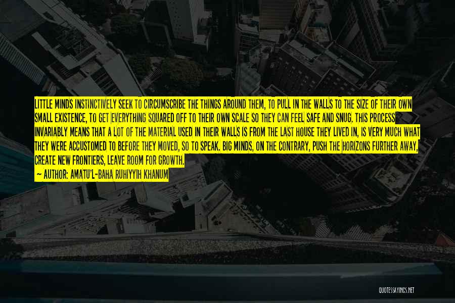 Amatu'l-Baha Ruhiyyih Khanum Quotes: Little Minds Instinctively Seek To Circumscribe The Things Around Them, To Pull In The Walls To The Size Of Their