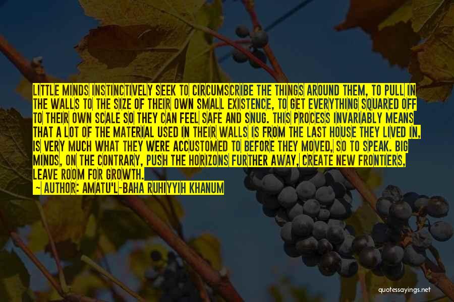 Amatu'l-Baha Ruhiyyih Khanum Quotes: Little Minds Instinctively Seek To Circumscribe The Things Around Them, To Pull In The Walls To The Size Of Their