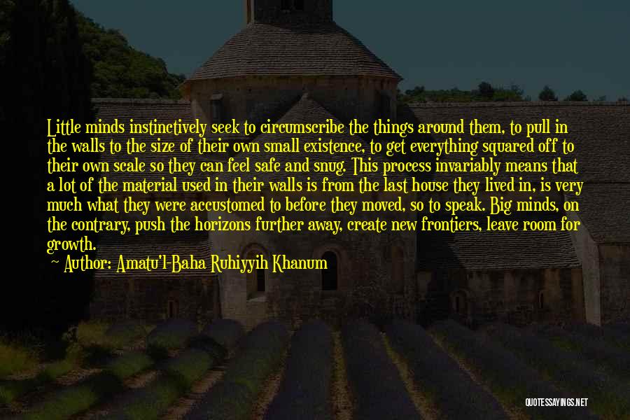 Amatu'l-Baha Ruhiyyih Khanum Quotes: Little Minds Instinctively Seek To Circumscribe The Things Around Them, To Pull In The Walls To The Size Of Their