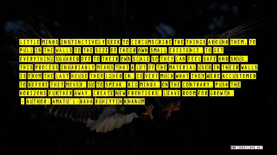 Amatu'l-Baha Ruhiyyih Khanum Quotes: Little Minds Instinctively Seek To Circumscribe The Things Around Them, To Pull In The Walls To The Size Of Their