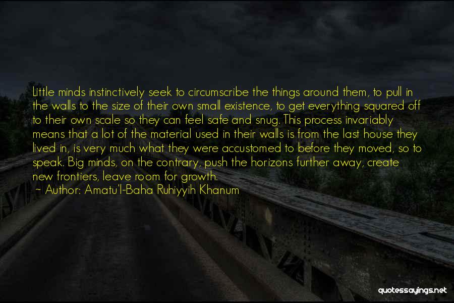 Amatu'l-Baha Ruhiyyih Khanum Quotes: Little Minds Instinctively Seek To Circumscribe The Things Around Them, To Pull In The Walls To The Size Of Their