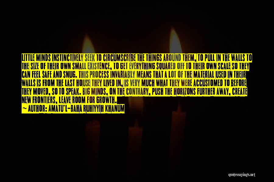 Amatu'l-Baha Ruhiyyih Khanum Quotes: Little Minds Instinctively Seek To Circumscribe The Things Around Them, To Pull In The Walls To The Size Of Their