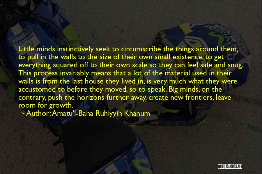 Amatu'l-Baha Ruhiyyih Khanum Quotes: Little Minds Instinctively Seek To Circumscribe The Things Around Them, To Pull In The Walls To The Size Of Their