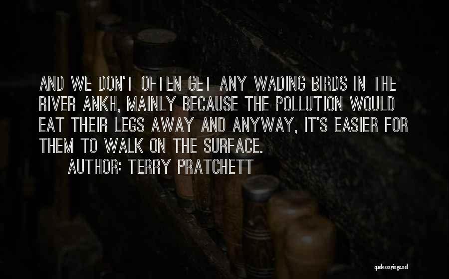 Terry Pratchett Quotes: And We Don't Often Get Any Wading Birds In The River Ankh, Mainly Because The Pollution Would Eat Their Legs