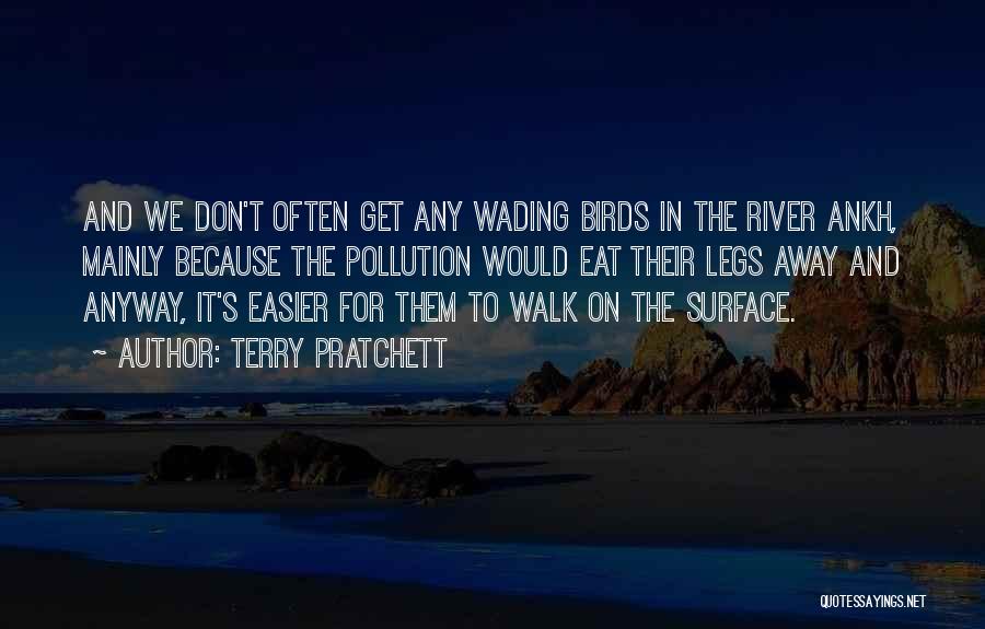 Terry Pratchett Quotes: And We Don't Often Get Any Wading Birds In The River Ankh, Mainly Because The Pollution Would Eat Their Legs