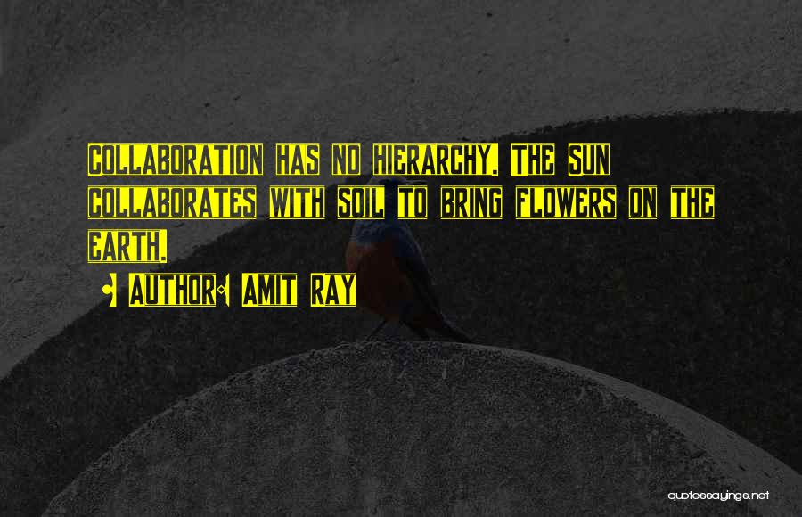 Amit Ray Quotes: Collaboration Has No Hierarchy. The Sun Collaborates With Soil To Bring Flowers On The Earth.