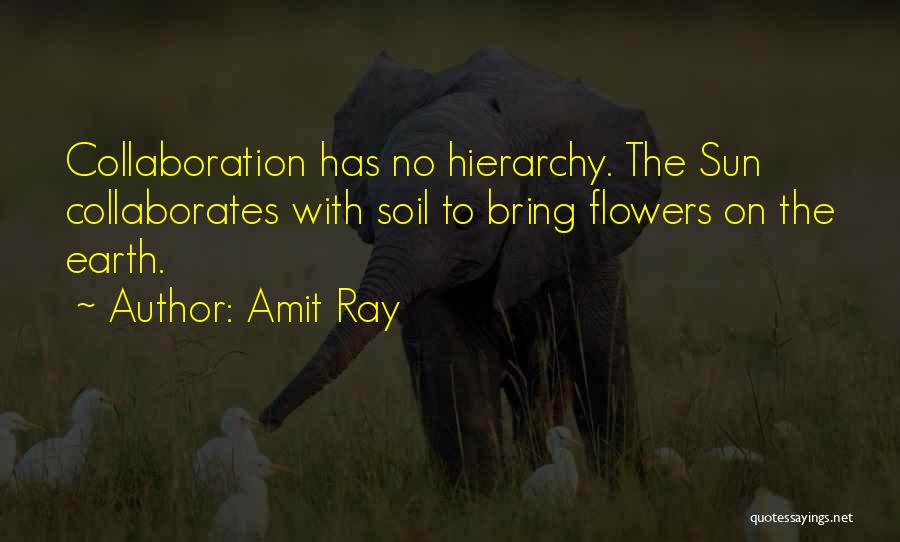 Amit Ray Quotes: Collaboration Has No Hierarchy. The Sun Collaborates With Soil To Bring Flowers On The Earth.