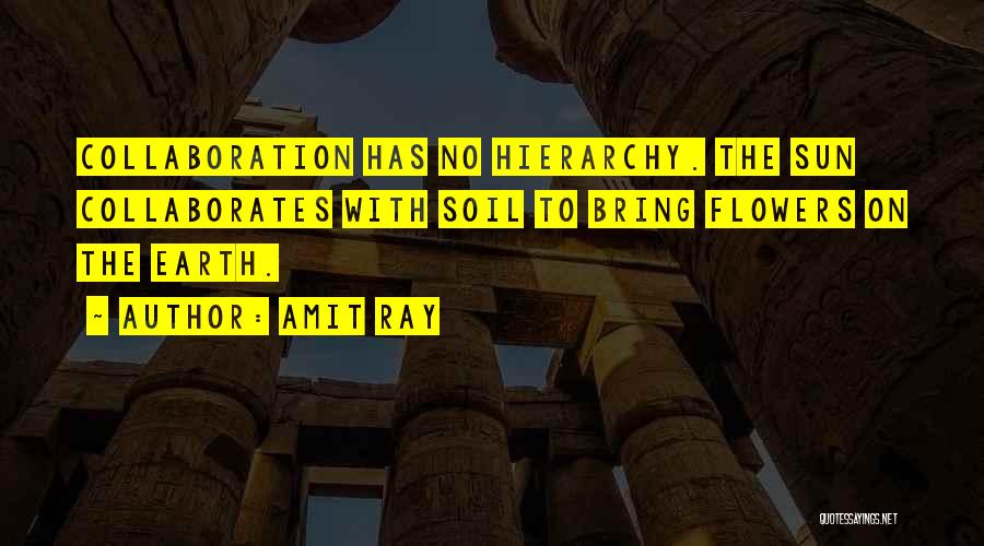 Amit Ray Quotes: Collaboration Has No Hierarchy. The Sun Collaborates With Soil To Bring Flowers On The Earth.