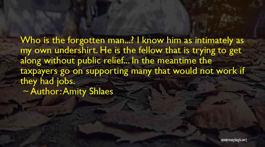 Amity Shlaes Quotes: Who Is The Forgotten Man...? I Know Him As Intimately As My Own Undershirt. He Is The Fellow That Is